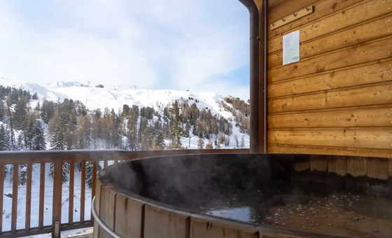 Chalet Carlina - Bain Suédois