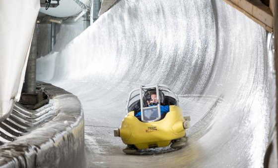 ACT_Bobsleigh_Speedluge-jaune_P-Augier