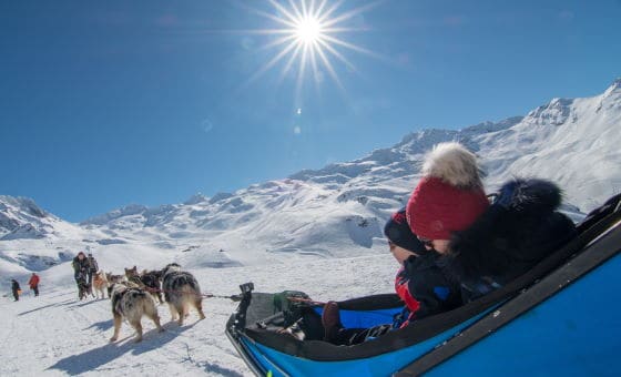 Chiens traineaux - T.Loubere OT Val Thorens