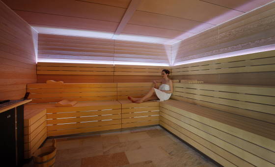 Hôtel Koh-I Nor - sauna