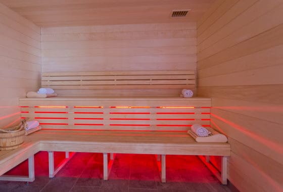 Hôtel Taj-I Mah - Sauna