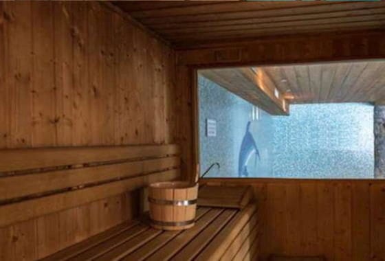 Aigle du Montana Tignes - Sauna de l'hôtel