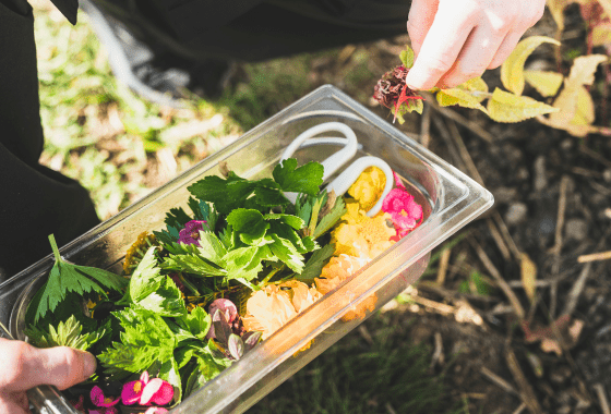 Incomparable chef potager