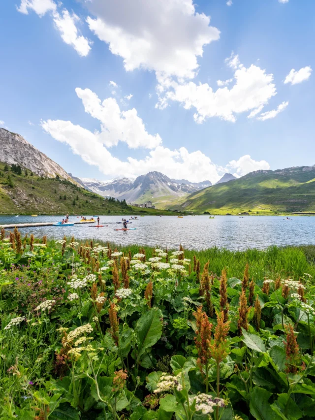 Des montagnes verdoyantes et un air pur pour des aventures infinies ✨

L'été approche à grands pas et nos hôtels se préparent à vous accueillir. Le compte à rebours est lancé ⏳

---

Green mountains and fresh air for endless adventures ✨

Summer is fast approaching and our hotels are getting ready to welcome you. The countdown has started ⏳

---

#SummerIsComing #FrenchAlps #EtincellesCollection #MountainAdventures #GetReady