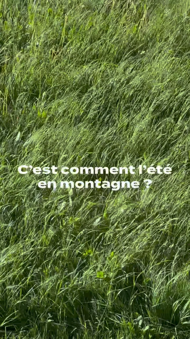 Un été au sommet, tout simplement ✨ 

Tignes, L’Alpe d’Huez, La Plagne, cap sur les Alpes et vers la fraîcheur ! Rendez-vous là où le soleil est doux et les souvenirs mémorables. 

Réservez votre séjour chez nous directement sur le lien dans notre bio 📍

______

A summer at the top—it’s that simple ✨ 

Tignes, L’Alpe d’Huez, La Plagne: head to the Alps for some cool, refreshing weather! Come where the sun is gentle and the memories are unforgettable. 

Book your stay with us directly via the link in our bio 📍

______

#etincellescollection #frenchalps #laplagne #tignes #alpedhuez