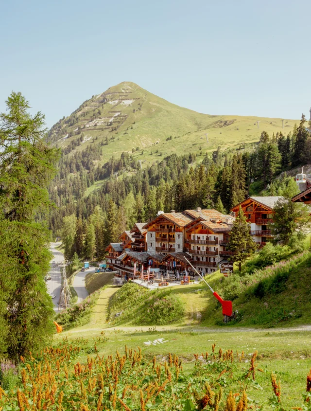 Belle-Plagne, l’été sous un autre angle ✨

Le Carlina vous accueille dans un cadre d’exception au cœur du domaine de La Plagne. Confort, élégance et altitude : l’alliance parfaite pour une escapade estivale inoubliable.

—

Belle-Plagne, summer from a different angle ✨

Carlina welcomes you in an exceptional setting in the heart of La Plagne resort. Comfort, elegance and altitude: the perfect combination for an unforgettable summer getaway.

—

#Carlina #BellePlagne #LaPlagne #EtincellesCollection #SummerMountain